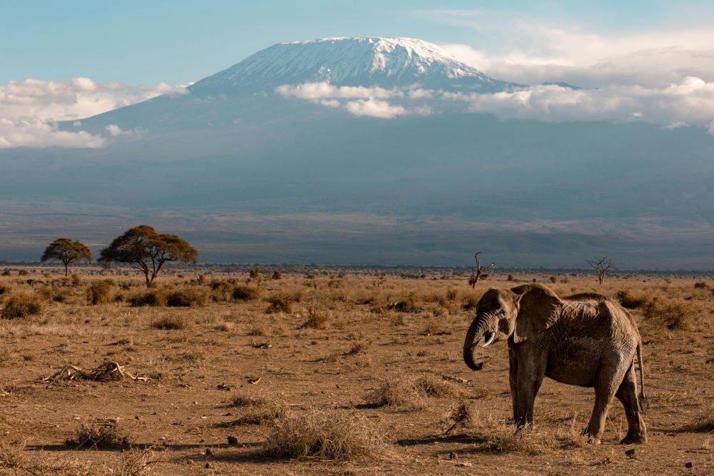 Amboseli National Park