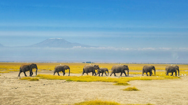 Kenya – 8-day Safari & Beach Classic Combo – Tailored Driven