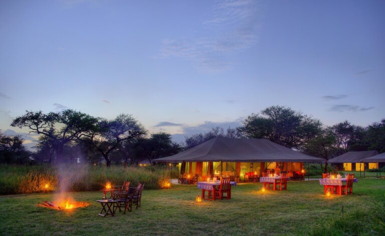 Tanzania – 5-day Serengeti Safari with Naona Moru- Private fly-in