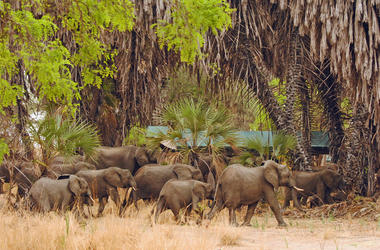 Tanzania – 7-day Southern Tanzania Rustic Safari – Tailored Fly-in
