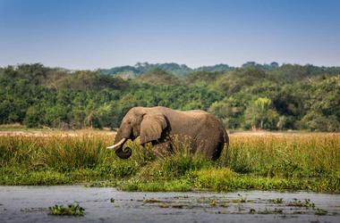 Uganda – 11-day Highlights of Uganda – Group Accommodated