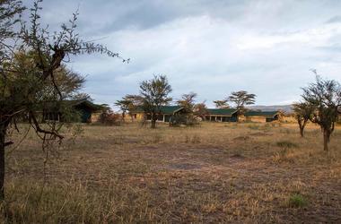 Tanzania – 7-day Kirurumu Safari (Jan – March & December) – Tailored Driven
