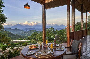 Uganda – 4-day Gorilla Safari with Nkuringo Lodge – Tailored Driven