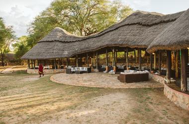 Tanzania – 4-day Ruaha Safari with Ruaha River Lodge – Tailored Fly-in